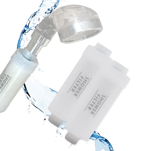 2 Packs Korea Made Shower Filter (2 Count)