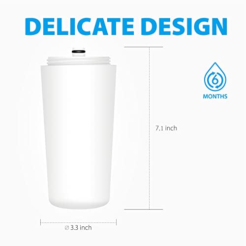 4125 Shower Filter Replacement for Aquasana® AQ