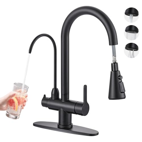 Kitchen Faucet with Water Filter Faucet