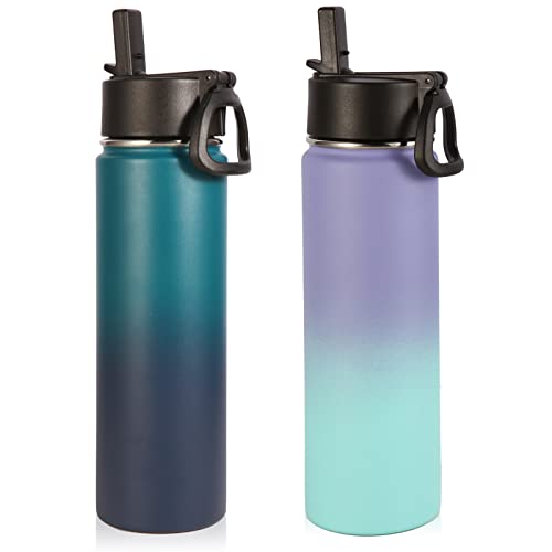 Insulated Water Bottles with Straw Bulk 2 Pack (2 Count)