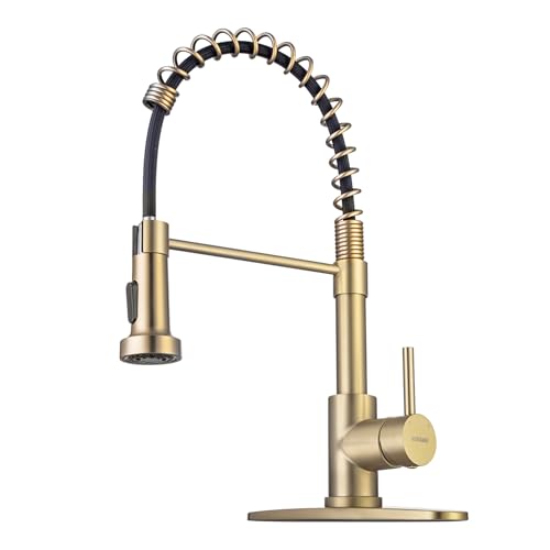 Pull Down Kitchen Faucet