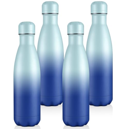 17oz Insulated Water Bottles MultiPack (4 Count)