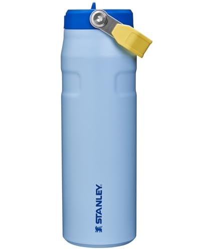 IceFlow Flip Straw 2.0 Bottle