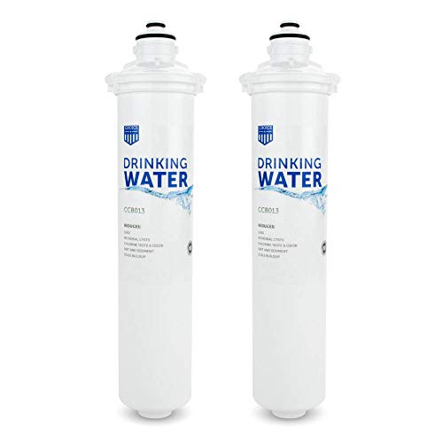Drinking Water Filter for Everpure EV9270 (2 Count)