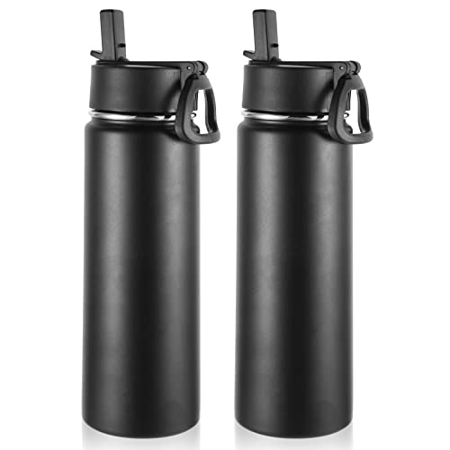 Insulated Water Bottles with Straw Bulk 2 Pack (2 Count)