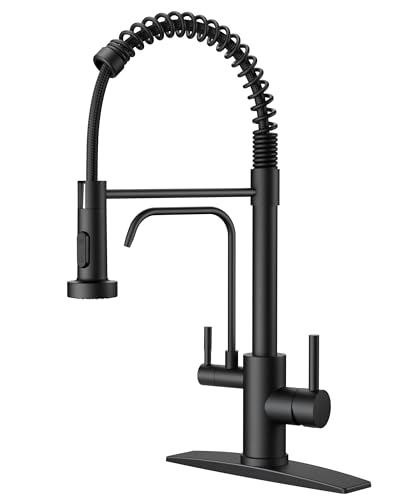 Black Kitchen Faucet with Purfied Water Filter