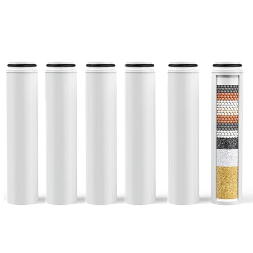 6Pcs Replacement Filters Compatible with Cobbe Handheld Shower (6 Count)