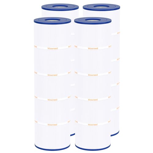 Pool Filter Compatible with CX880XRE