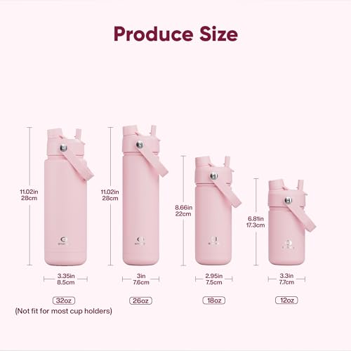 Insulated Water Bottle with Straw Stainless Steel Water Bottle