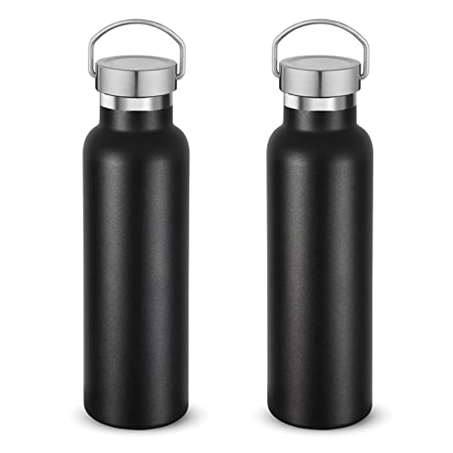 20 oz Insulated Water Bottles Bulk 2 Pack (2 Count)