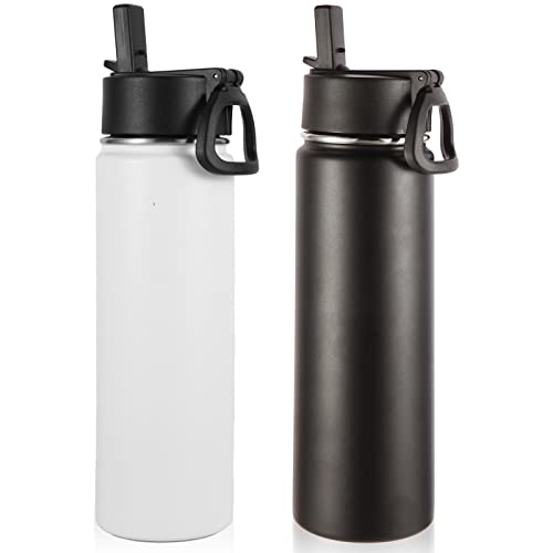 Insulated Water Bottles with Straw Bulk 2 Pack (2 Count)