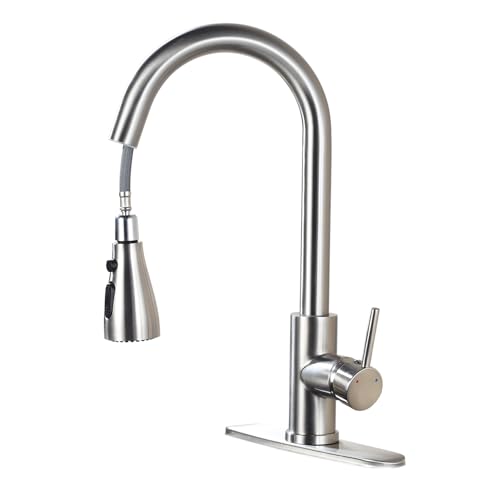 Kitchen Faucet with Pull Down Sprayer