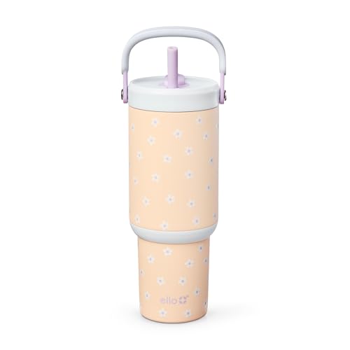 Oasis Go+ 26oz Insulated Stainless Steel Tumbler with Straw