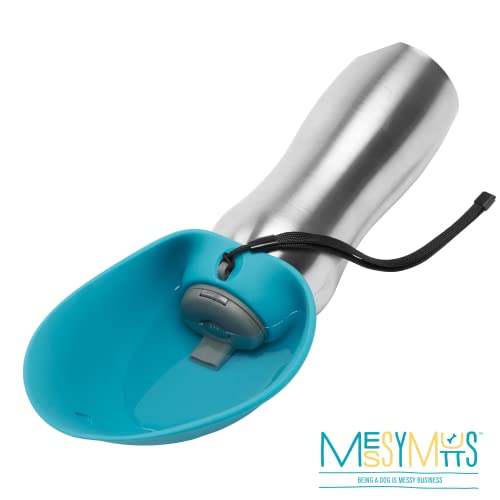 Travel Water Bottle