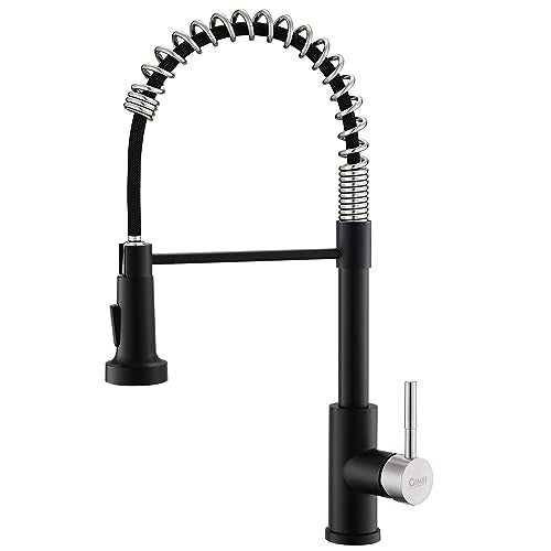 Kitchen Faucet with Pull Down Sprayer Black and Nickel