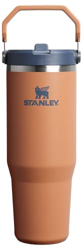 IceFlow 2.0 Flip Straw Tumbler