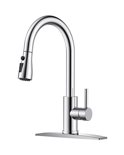 Kitchen Faucet with Pull Down Sprayer