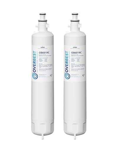 OB6019C Water Filter Replacement for GE® RPWFE® (2 Count)