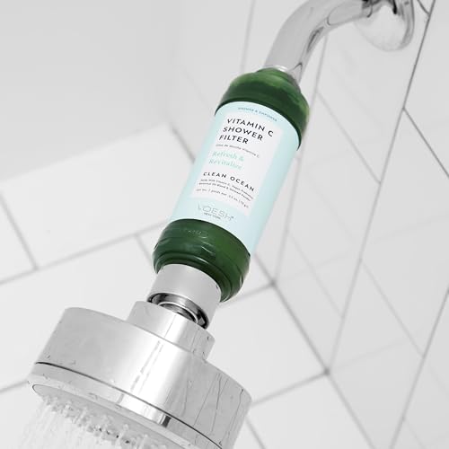 Vitamin C Shower Filter