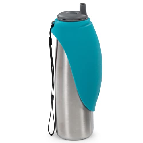 Travel Water Bottle