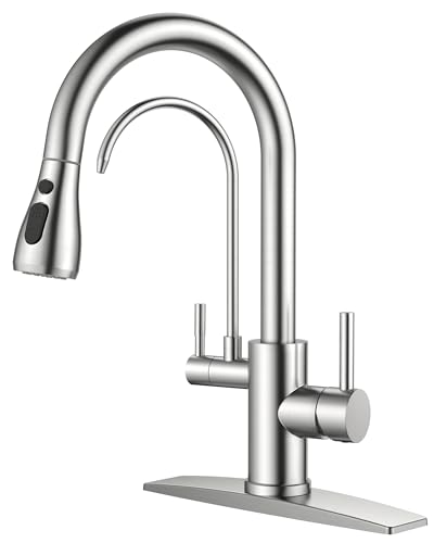 Kitchen Faucet with Purified Water