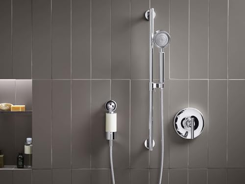 30646 CP Aquifer Shower Water Filtration System