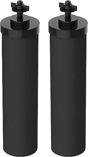 Gravity Water Filter (2 Count)