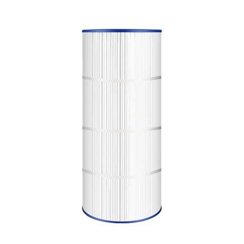 CC100 Pool Filter Compatible with CCRP100