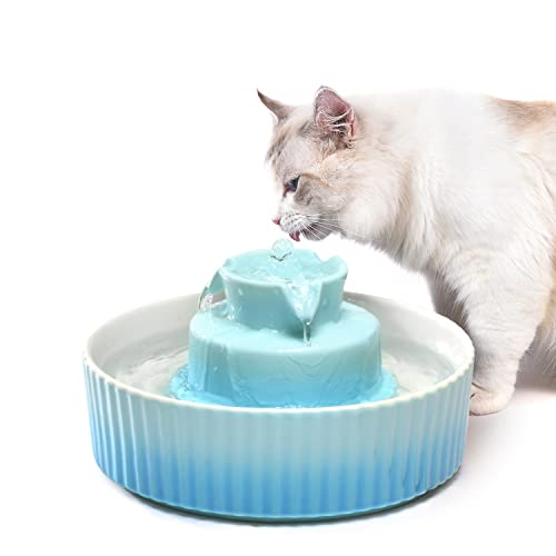 360 Ceramic Pet Fountain (70 Fl Oz)