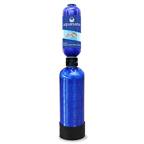 Whole House Water Filter Replacement