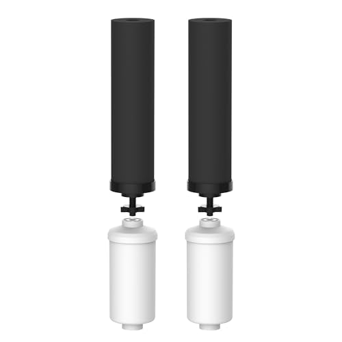 Gravity Water Filter (2 Count)
