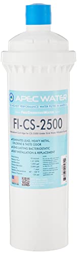 FI-CS-2500 Replacement Filter, for CS-2500 System