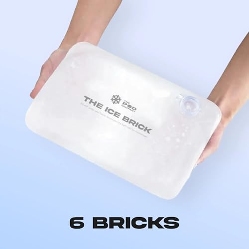 6 Pack Ice Brick (6 Count)