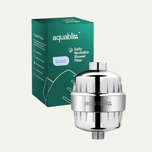High Output Revitalizing Shower Filter