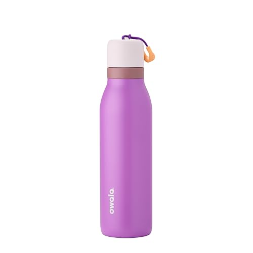FreeSip Twist Stainless Steel Water Bottle 18 oz California Grapevine