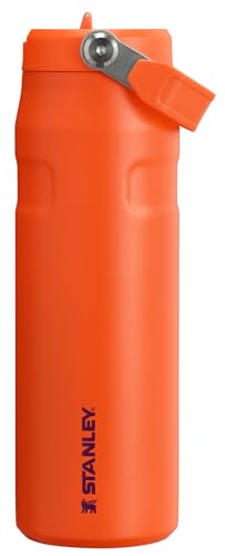 IceFlow Flip Straw 2.0 Bottle