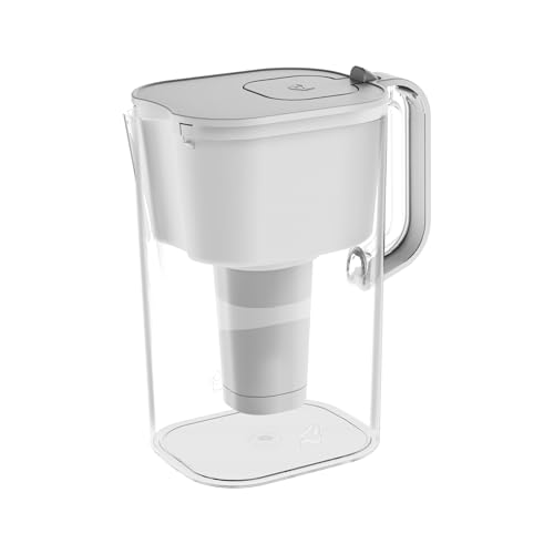 HOMEWATER 10 Cup Pitcher Filter