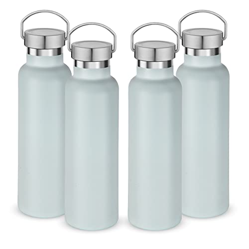 20 oz Insulated Water Bottles Bulk 4 Pack (4 Count)