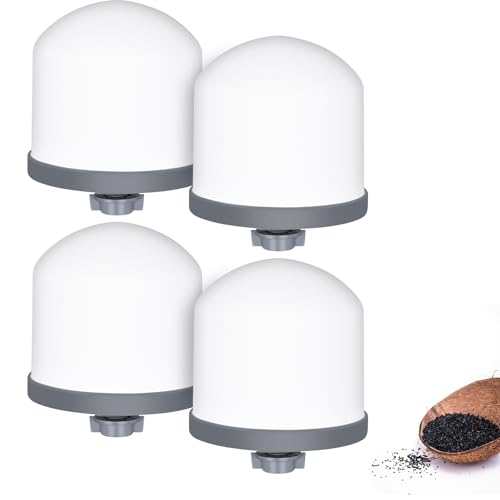 Ceramic Dome Water Filter with Coconut Shell Activated Carbon (2 Count)