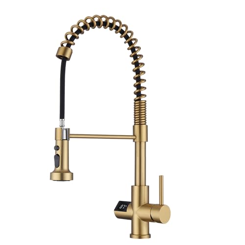Kitchen Faucet with Temperature Digital Display