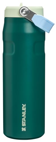 IceFlow Flip Straw 2.0 Bottle