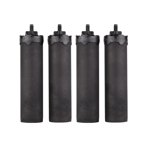 Foundation Black Replacement Water Filter (4 Count)