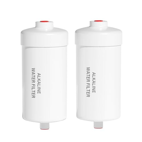 PH-2 White 3-Stage Alkaline Filter Elements, Additional filters for Berlkey® Black Activated Carbon Filters, Berlkey® and Purewell Gravity Filtration Water System, pH 8-9 (2 Pack, K Series) (2 Count)