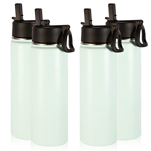 Insulated Water Bottles with Straw Bulk 4 Pack