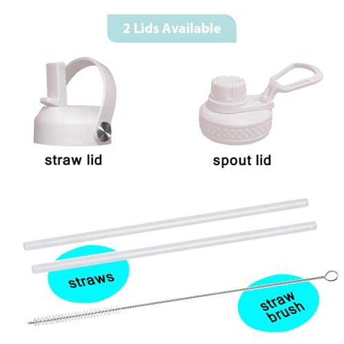 32oz Water Bottle Wide Mouth Stainless Steel Vacuum Insulated Double Wall with 2 Straw Lids Fit in Any Car Cup Holder