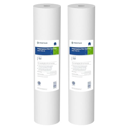Pentair Pentek DGD (2 Count)