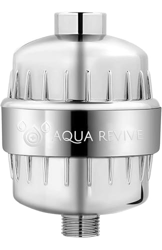 High Output Revitalizing Shower Filter