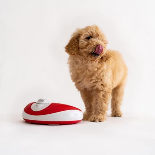 Mini Portable Filtered Water Bowl for Cats & Small Dogs