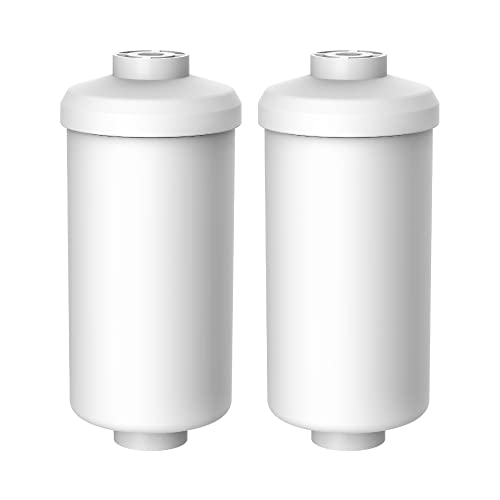Fluoride Water Filter (2 Count)