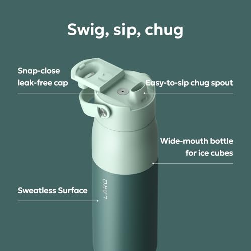Swig Top Insulated Stainless Steel Water Bottle with Straw and Handle